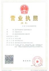 武汉beat365官方网页版高科营业执照